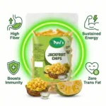 jackfruit-chips-kathal-crispy