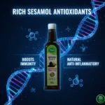 1761842368559 – Copy