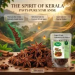Premium Whole Star Anise Spice
