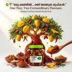 pavis-mango-dates-mix-pickle
